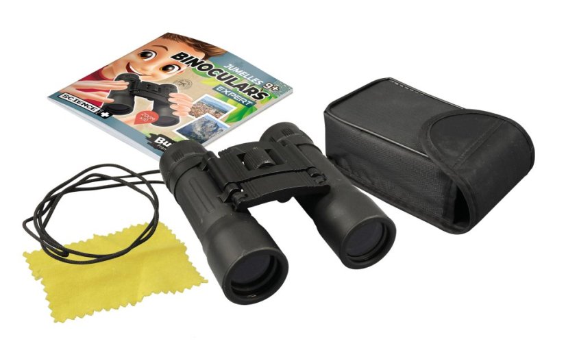 SP008 contenu