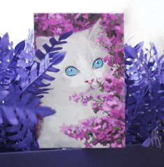 Maľovanie podľa čísiel - Modrooká mačka