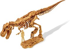 DinoKIT Vykopávka a kostra T-Rex (439TYR)