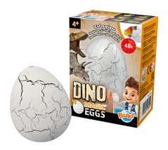 D6G BOX eggs