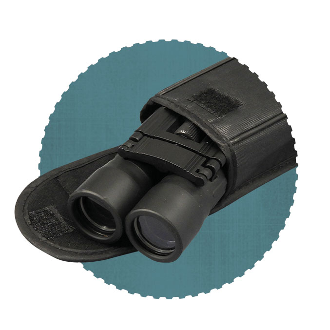 SP008 zoom2