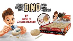 D6O ambiance
