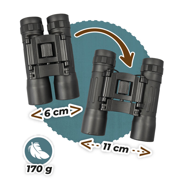 SP008 zoom1
