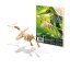 
																		D6B Pteranodon plaque et modele
																