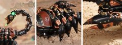RoboTime 3D mechanická skladačka Škorpión obrovský