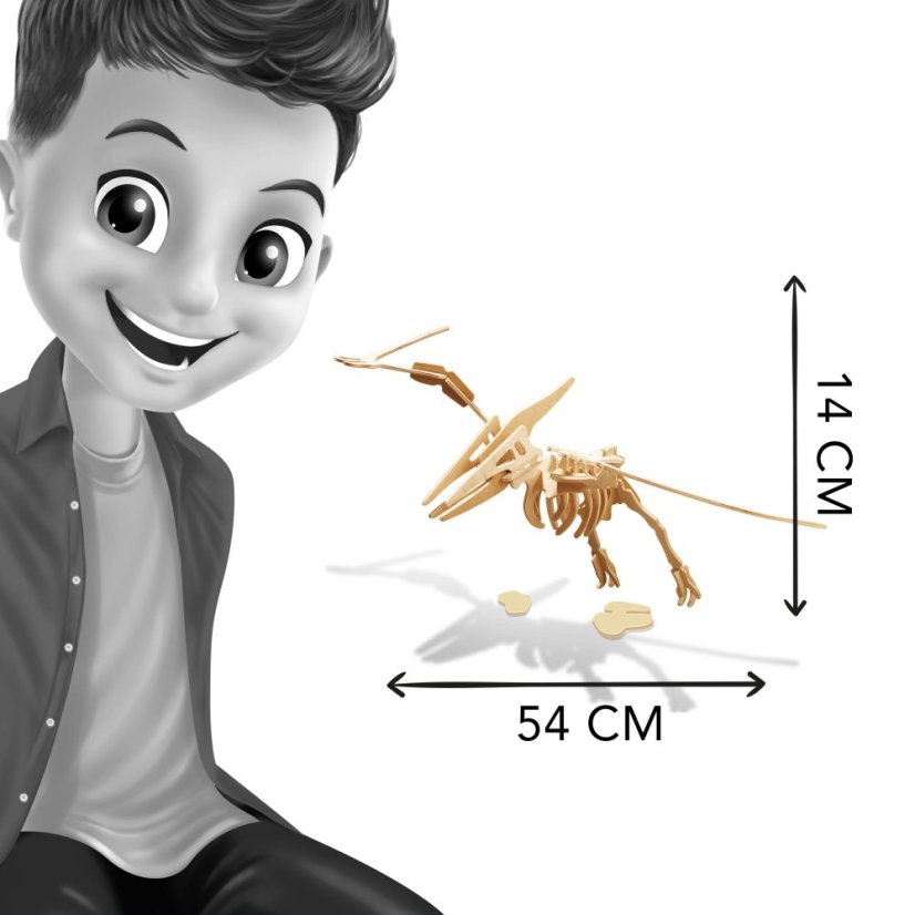 D6B taille Pteranodon