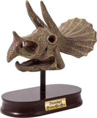Výstavná lebka -  Triceratops (2131)