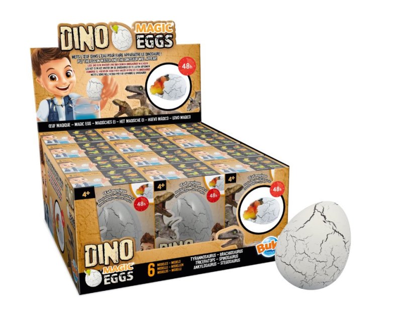 
																		D6G Display and Egg
																