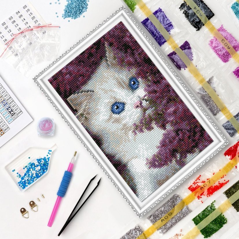 Diamantové maľovanie - Modrooká mačka