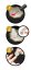 5433 zooms 1
