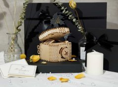 RoboTime 3D drevená mechanická skladačka Šperkovnica